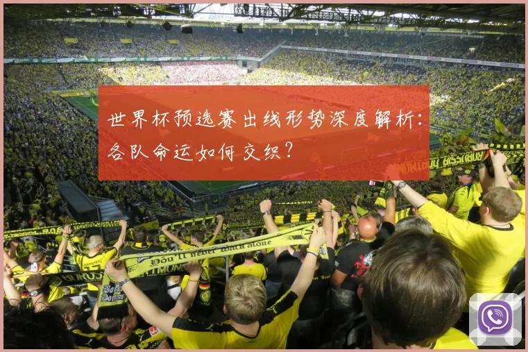 世界杯预选赛出线形势深度解析：各队命运如何交织？